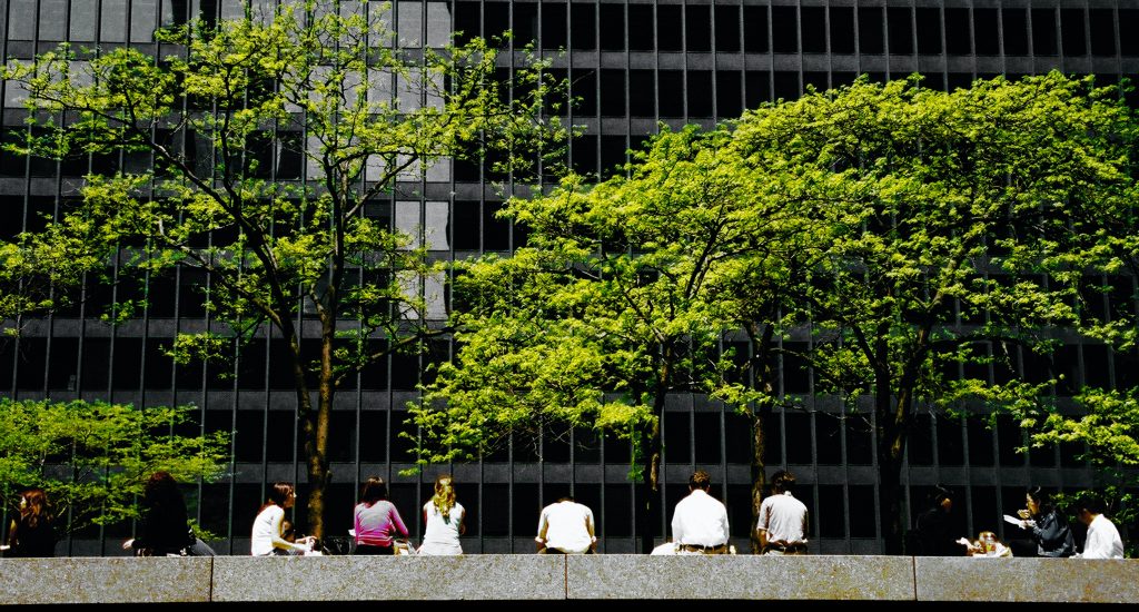 Public place with green trees next to the sustainable building with a sustainable corporate business.